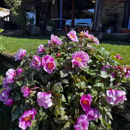 Bed & Breakfast Is Cubas 3*