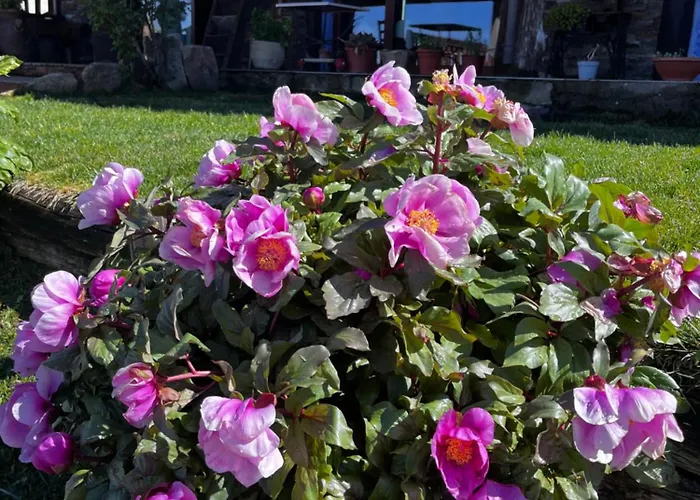 فندق مبيت وإفطار Is Cubas 3*